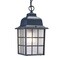 Homeroots 11 x 6 x 6 in. Nautica 1-Light Matte Black Hanging Light 398010 - alternate 1